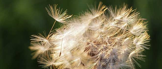Impulse auf dem Weg zum Osterfest