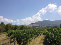 Tauteam: Assisi pilgernd unterwegs