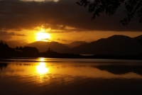Im Fluss und in Verwandlung