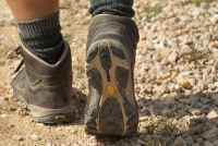 Leichtwandern - Genussvoll und gelenkschonendes Wandern mit Feldenkrais