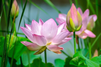 Mini-Sesshin - Zen – Meditation 