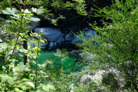 Waldbaden für Einsteigende