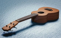 Liedbegleitung mit der Ukulele